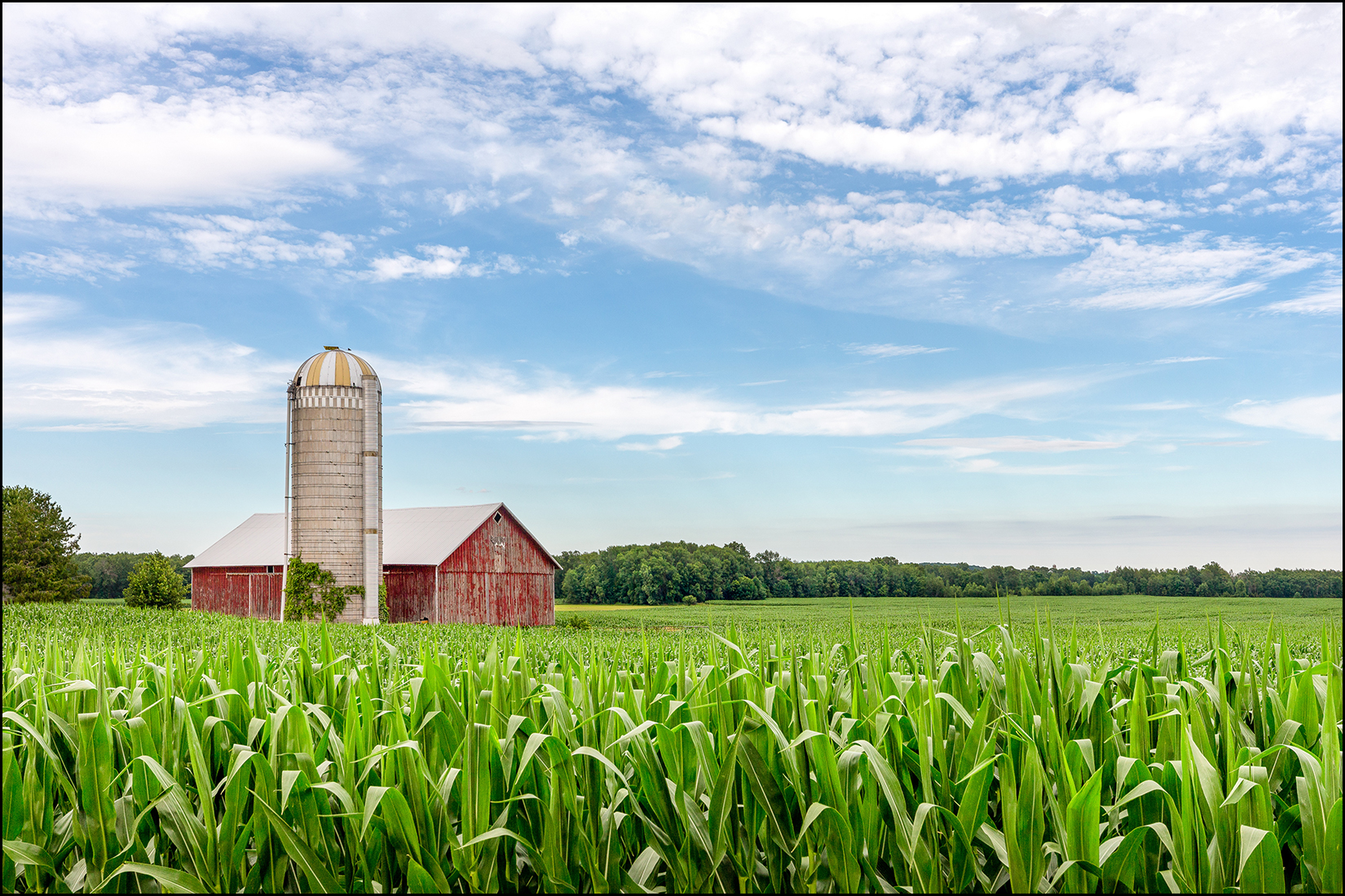 Farmland!